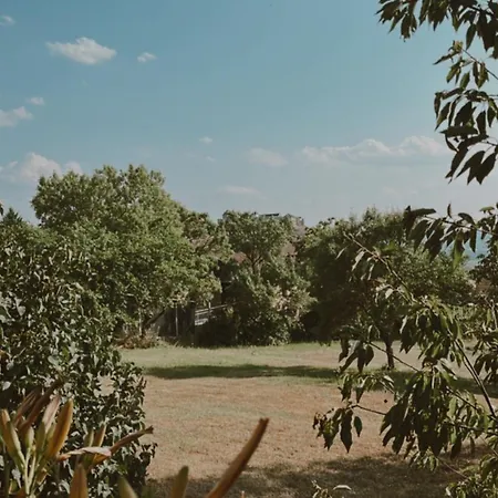 Varázskuckó * Sümeg