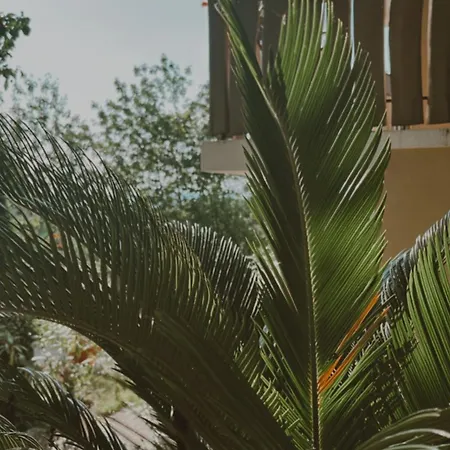 Varázskuckó Sümeg