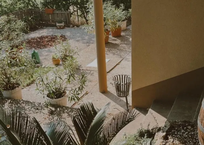 Apartament Varazskucko